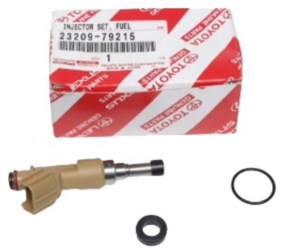 CONJUNTO INYECTOR COMBUSTIBLE